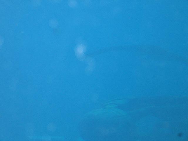 IMG 2166