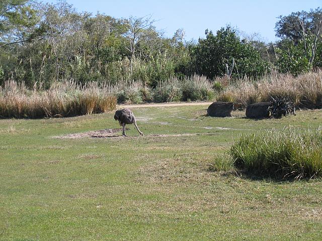 IMG 1930