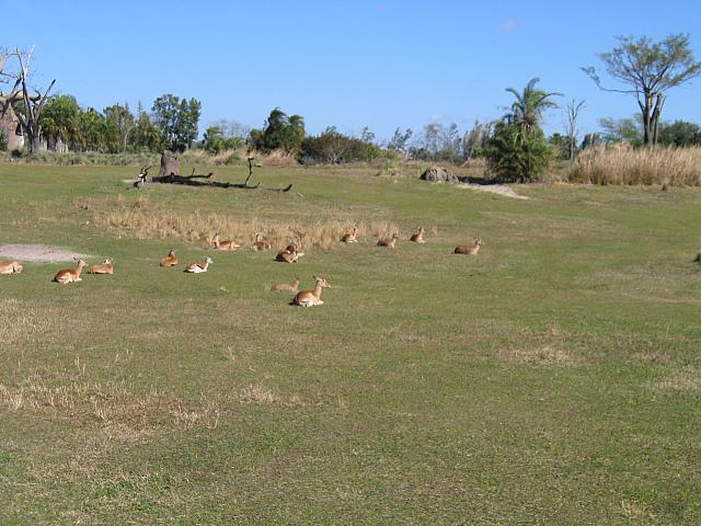 IMG 1932