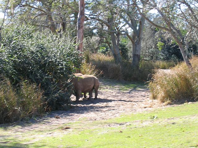 IMG 1939