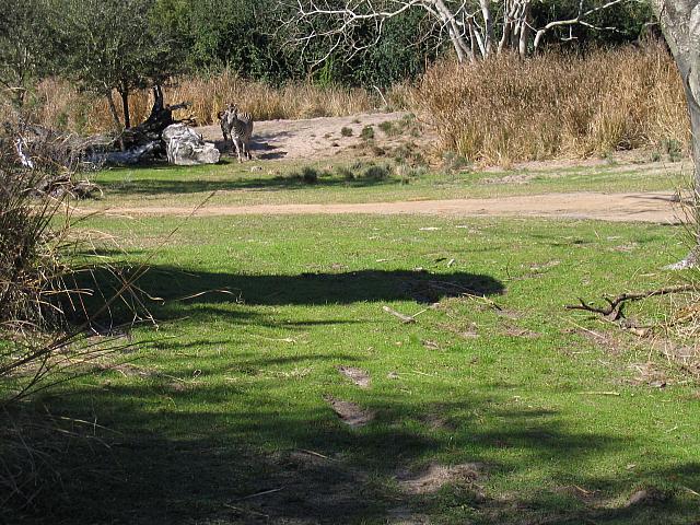 IMG 1941
