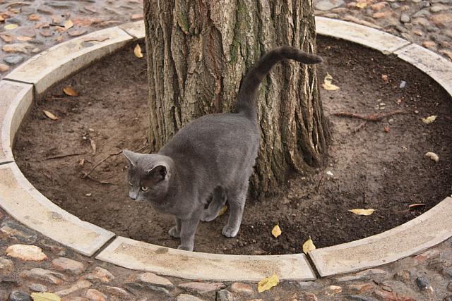 IMG 1338