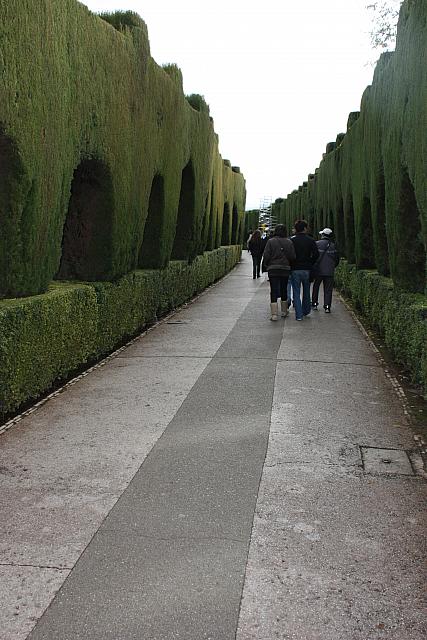 IMG 1439
