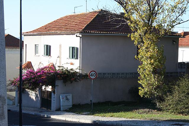 IMG 1807