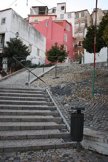 IMG 1921