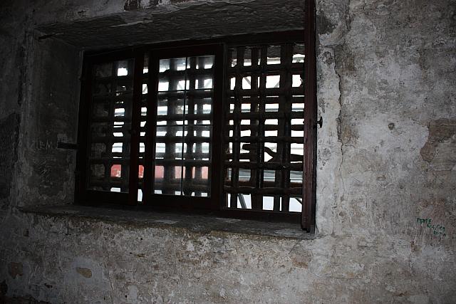 IMG 0225