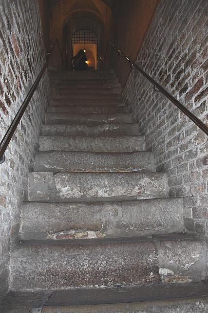 IMG 0369