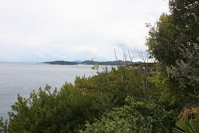 IMG 0675