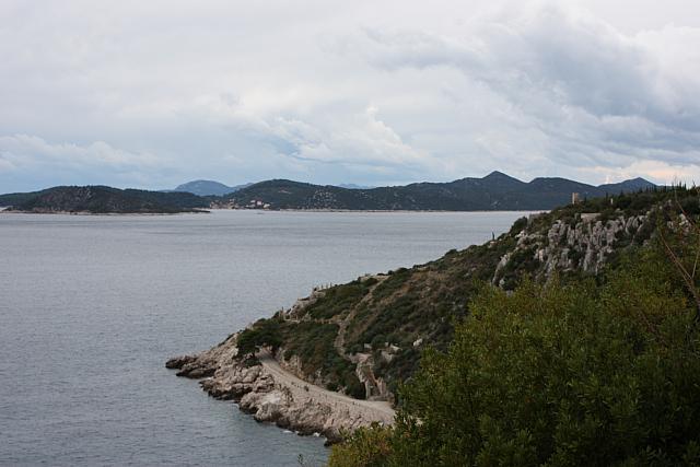 IMG 0677
