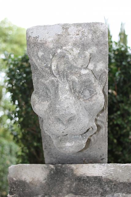 IMG 0681