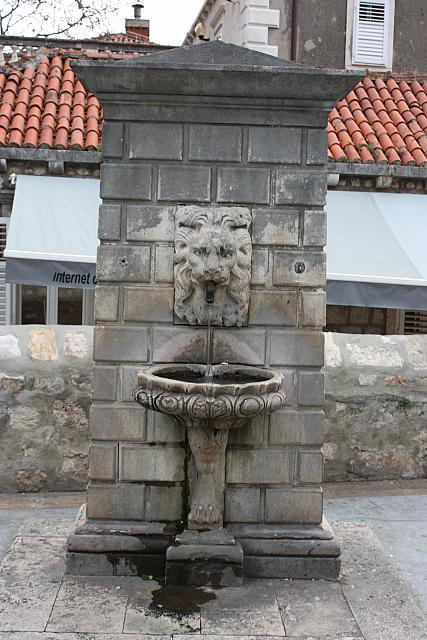 IMG 0752