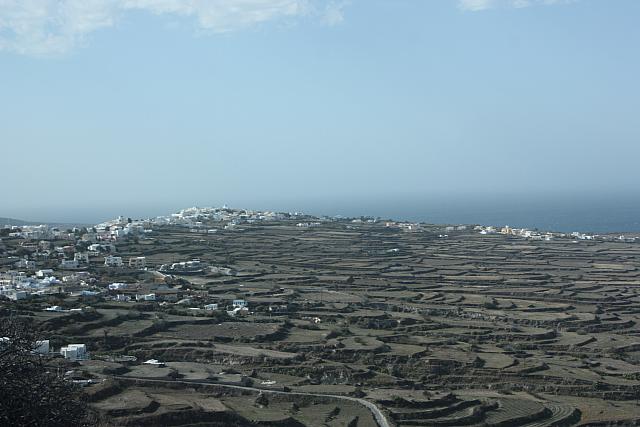 IMG 0958