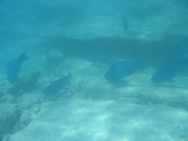 IMG 3812