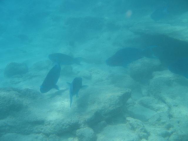 IMG 3813