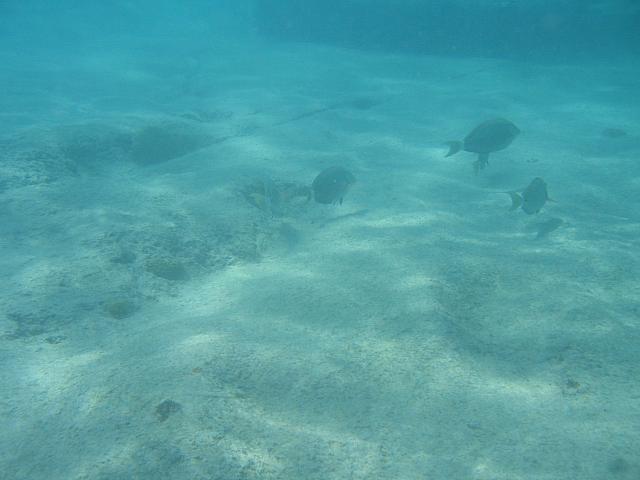 IMG 3814