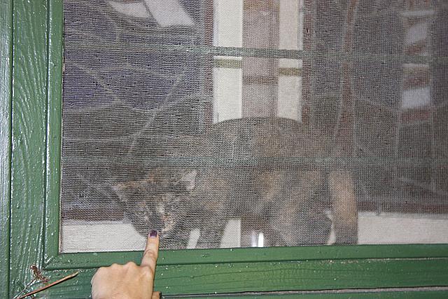 IMG 3092