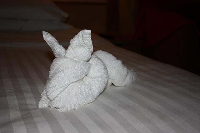 IMG 3333