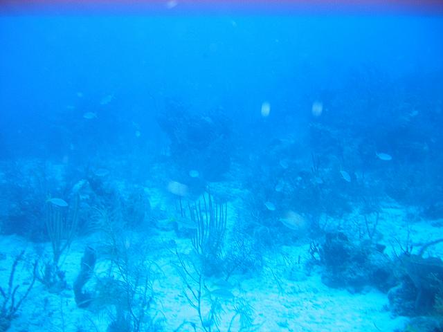 IMG 4886