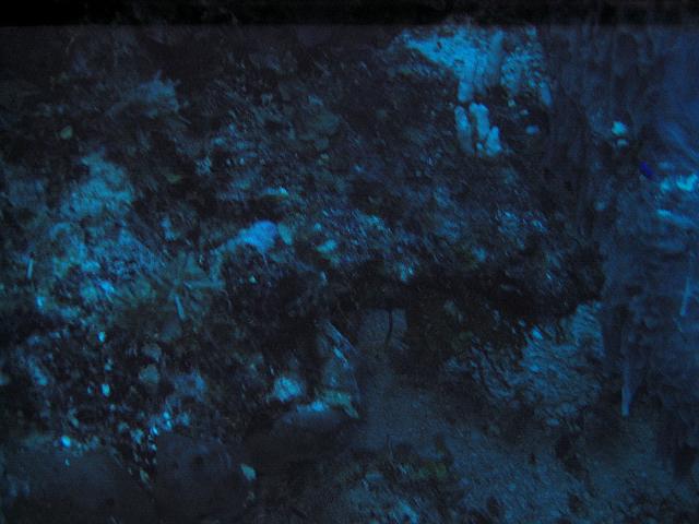 IMG 4892