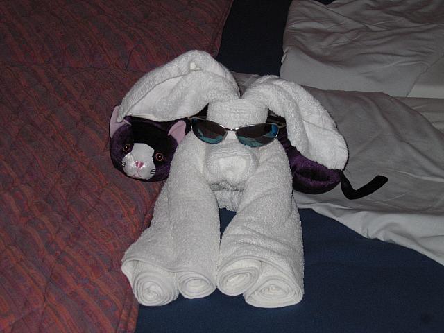 IMG 1103