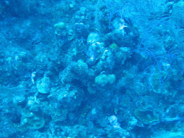 IMG 1107
