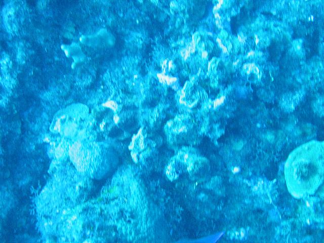 IMG 1108