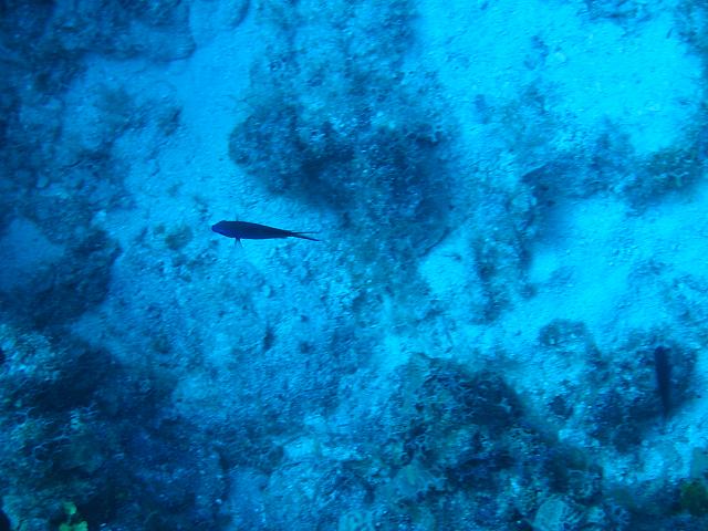 IMG 1109