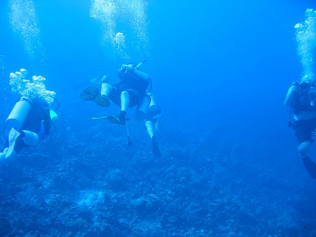 IMG 1110