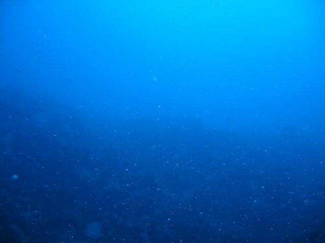 IMG 1112