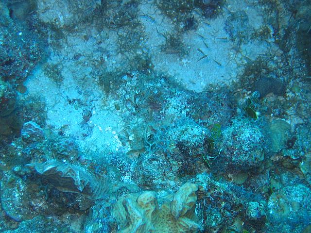 IMG 1114
