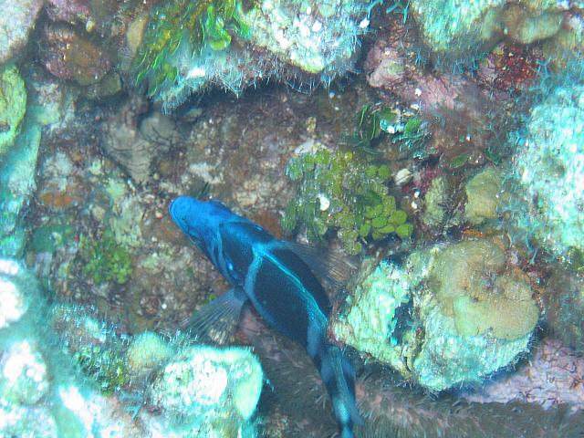 IMG 1117