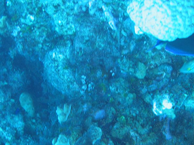 IMG 1118
