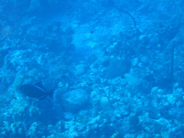 IMG 1121