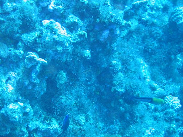 IMG 1122