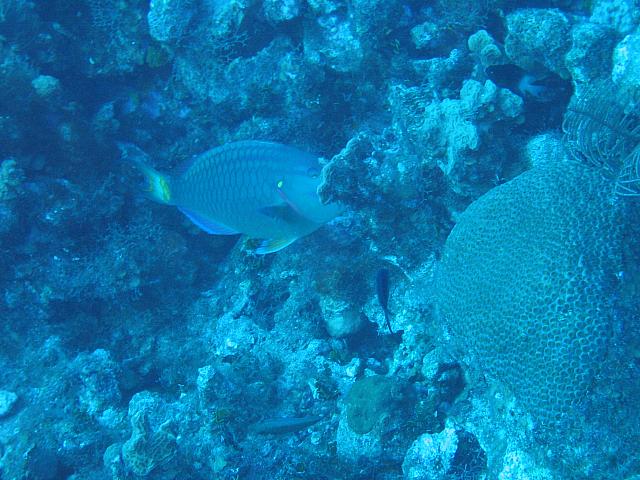 IMG 1123