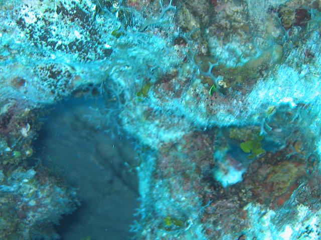 IMG 1133