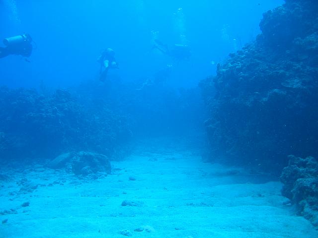 IMG 1139