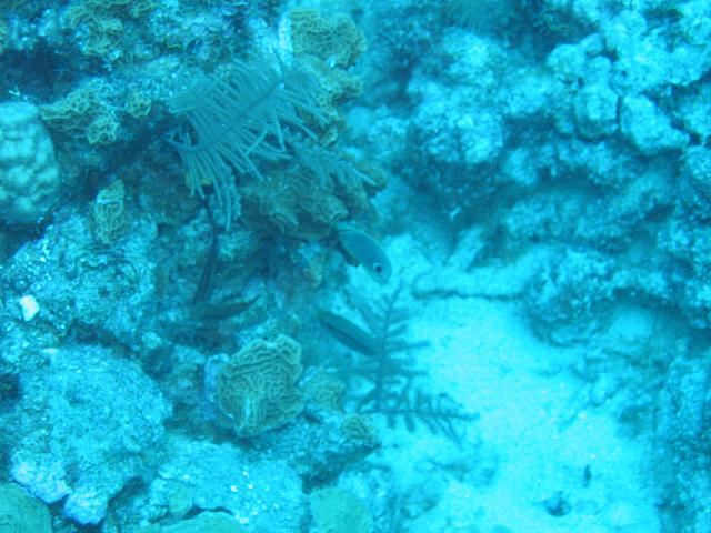 IMG 1145