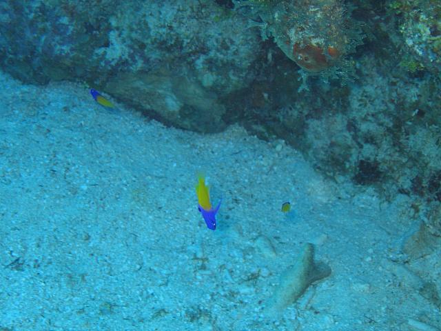 IMG 1151