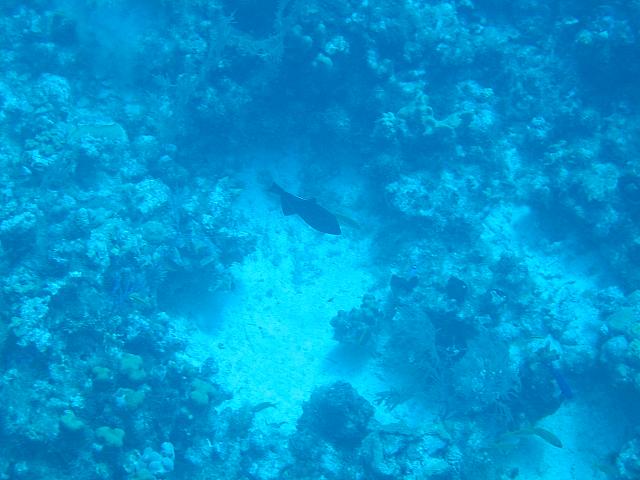 IMG 1153