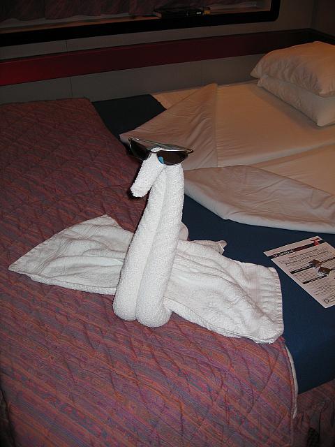 IMG 1154