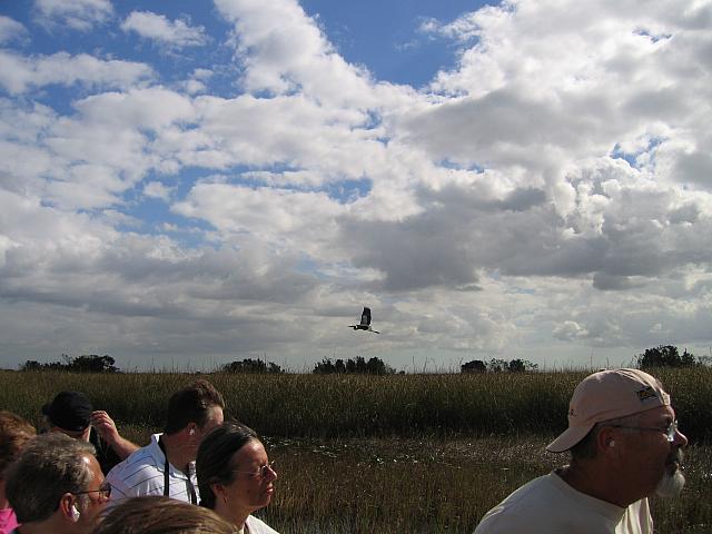 IMG 1223