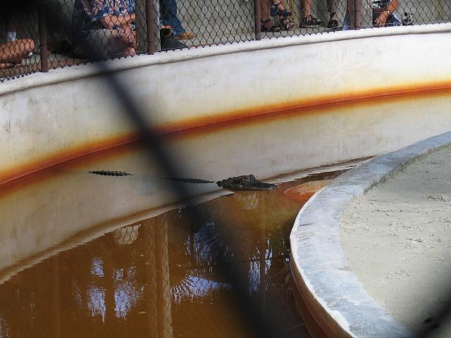 IMG 1239