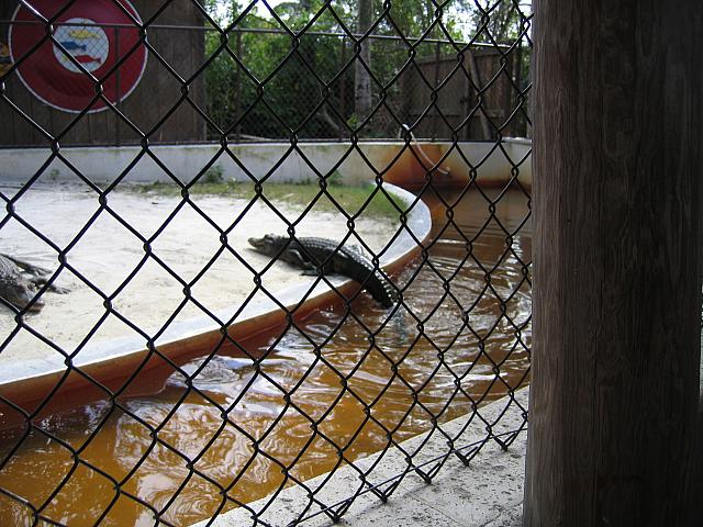 IMG 1240