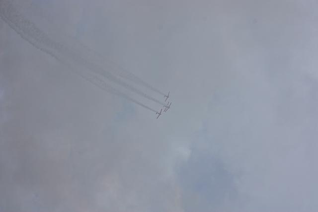 IMG 0239