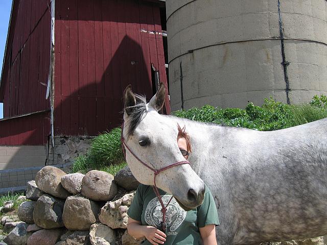IMG 3078