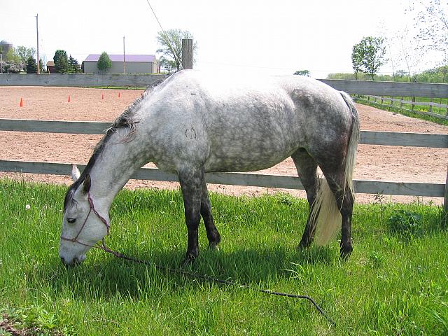 IMG 3083