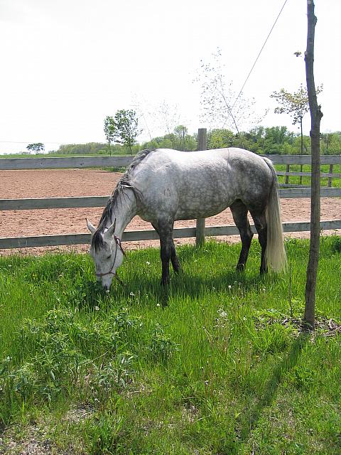 IMG 3084