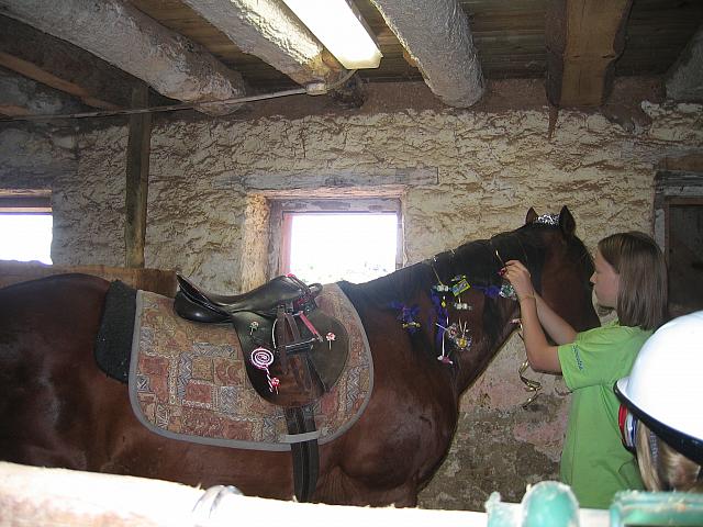 IMG 2660