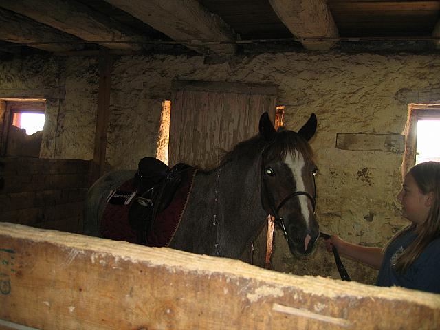 IMG 2663